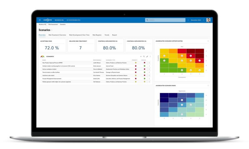 Software Risk Management
